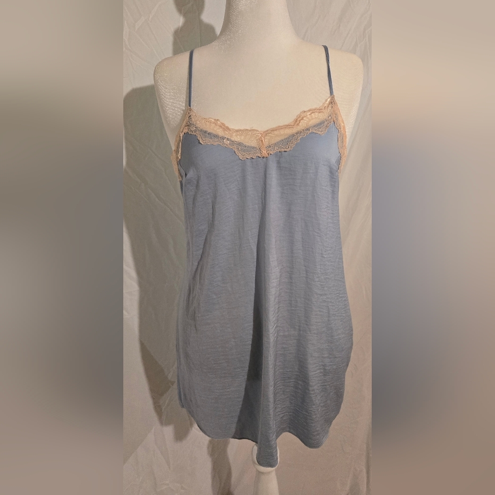 Elegant Blue Chemise with Lace Trim